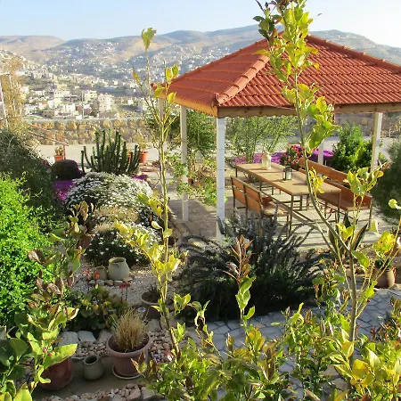 Petra Bed & Breakfast-2