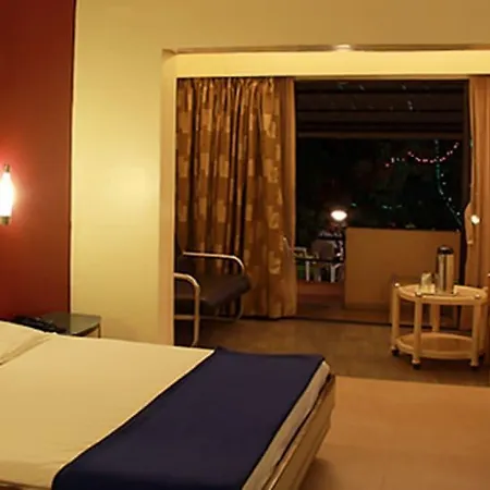 Hotel Anando , Saputara-2