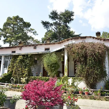 Deodar Homestay-3