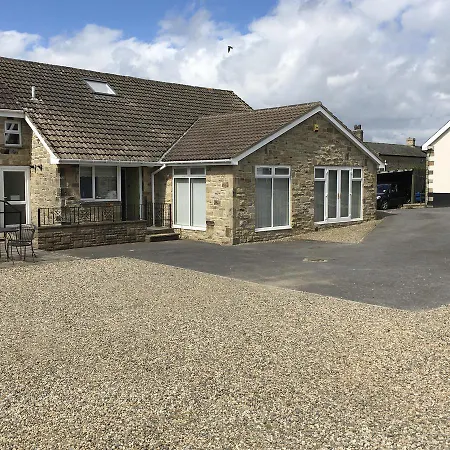 Deneview-2