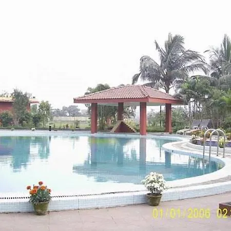 Golden Retreat-3