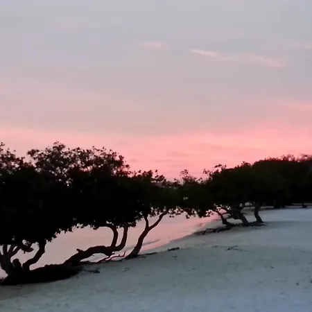 Aruba Surfside Marina-3