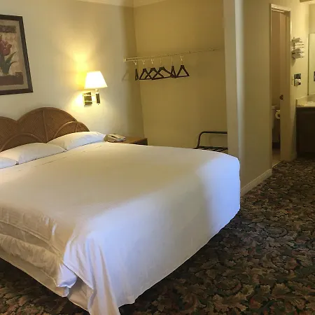 Grand Inn財神客棧-2