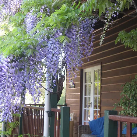 Rosemoore Bed & Breakfast-2