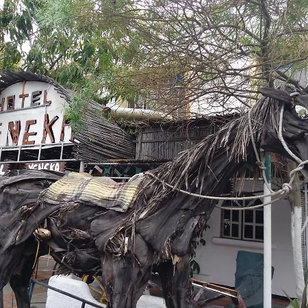 Hotel-Museo Yeneka-3