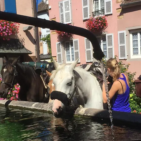Auberge Du Rempart-2