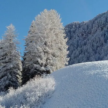 Garni Waltoy-3