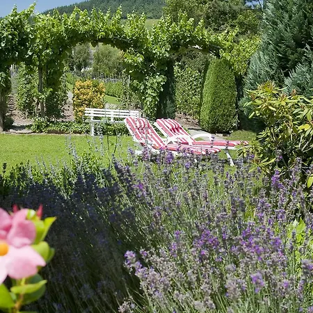 Hotel Springiersbacher-Hof-2