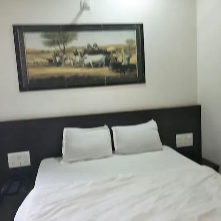 Hotel Gayatri-3