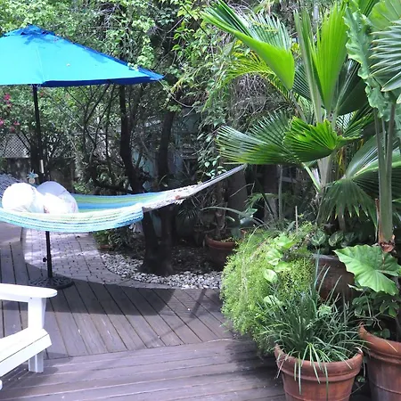 Pineapple Point Guesthouse&Resort - Gay Men's Resort-3