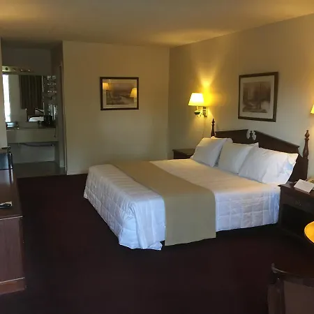 Alpine Lodge-2