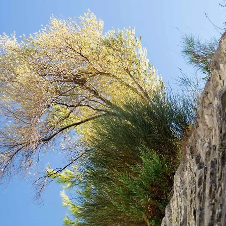 Semeli-2