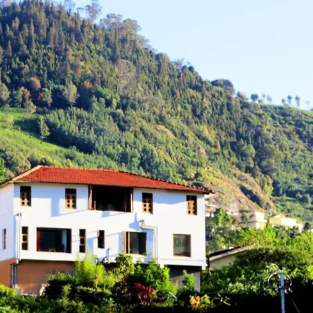 Satya Anand Pure Veg And Non Alcoholic Cottage-3