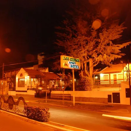 Apart Hotel Los Cedros-2