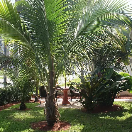 Atlantic Shores Vacation Villas-3