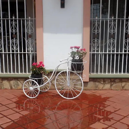 Villa Leone Boutique Hotel-3
