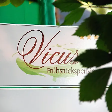 Pension Vicus-3