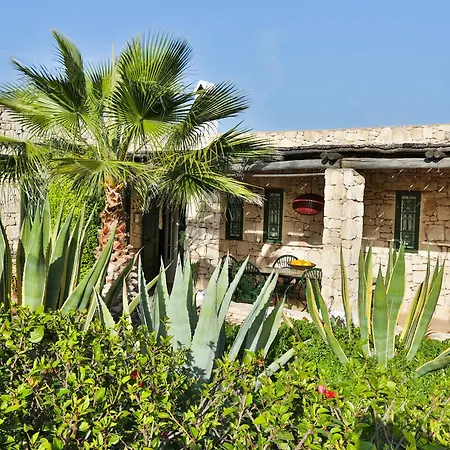 Les Jardins de Villa Maroc-3