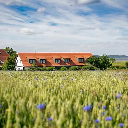 H.W.S. Hotel Der Wilde Schwan-3