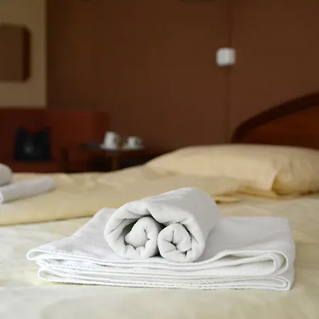 Hotel Minerva-3