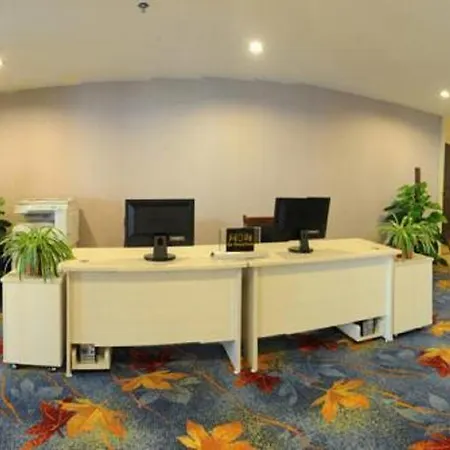 Golden Dragonball Hotel-3