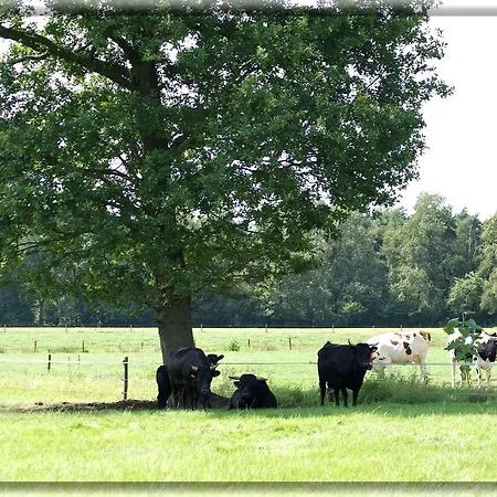 B&B Hof 'T Sprakel-2