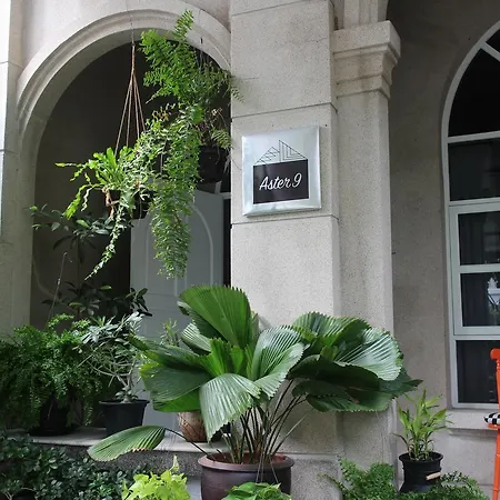 Aster 9 House-3