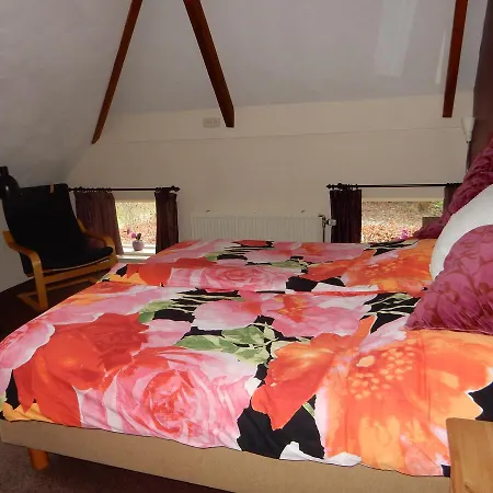 Bed&Breakfast Onder Dak-2