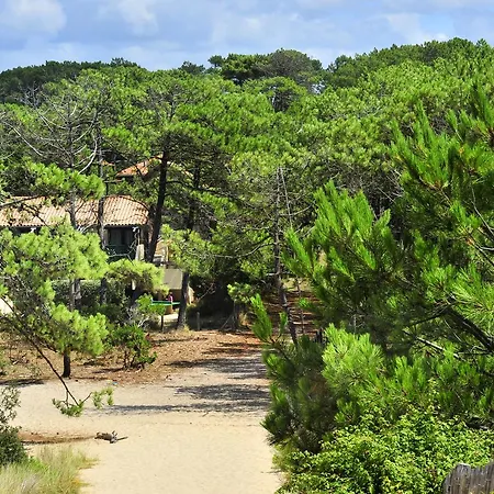 La Forestière - Pension Complète-3