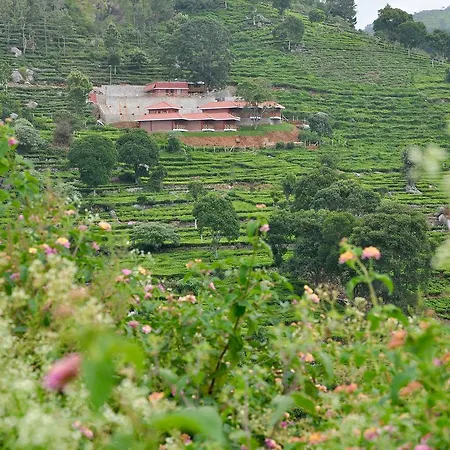 Hanging Huts Resorts-2