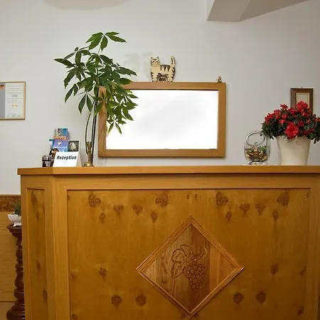 Hotel Zur Traube-3