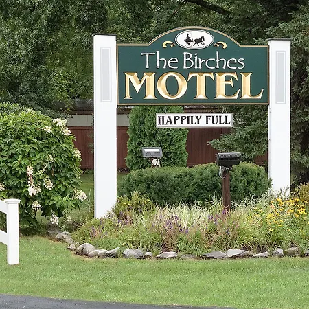 Birches Motel-2