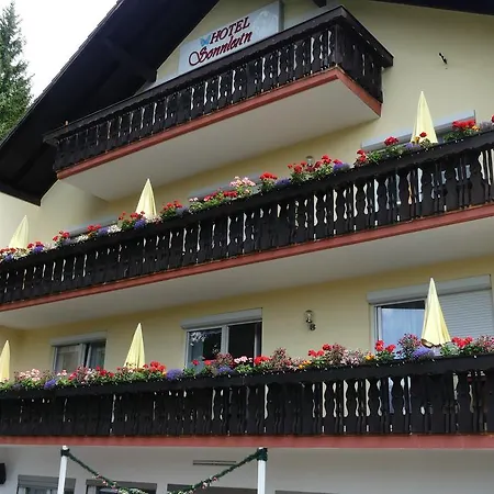 Hotel Sonnleitn-2