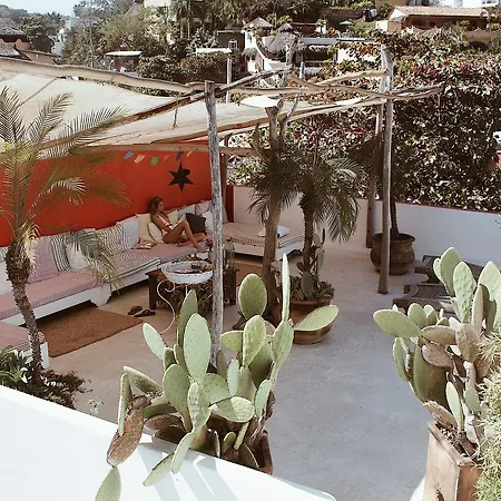 Petit Hotel Hafa-2