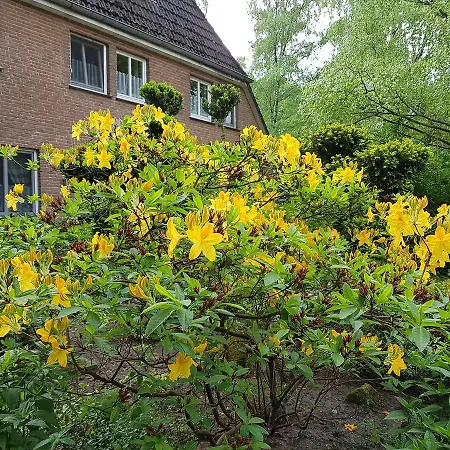 Pension 'Das kleine Landhaus'-2