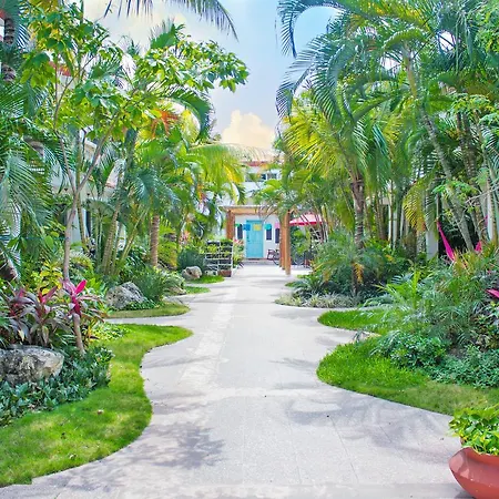 Hotel Villas Colibrí Suites&Bungalows-3