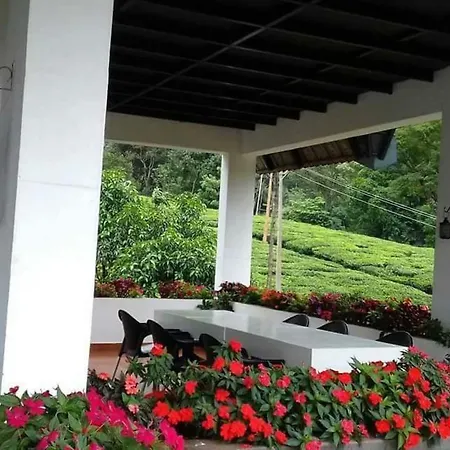 Gruenberg Tea Plantation Haus-3