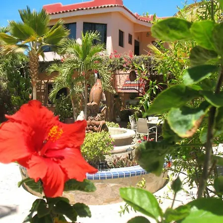 Hacienda De Palmas-2