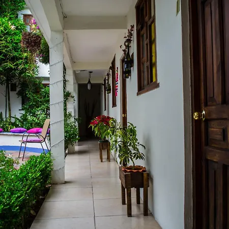 Hotel Casa Mia-3