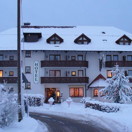 Hotel Drei Konige-3