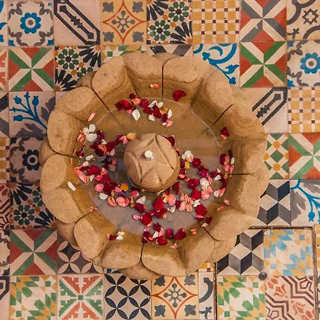 Riad Jbara-2