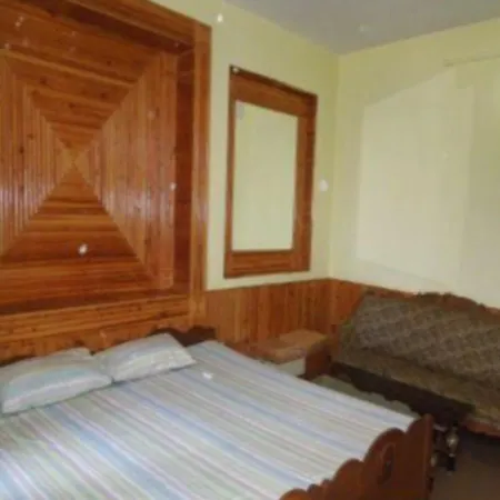 Hotel Pankaj-2
