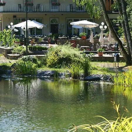 Hotel Alte Muehle-2