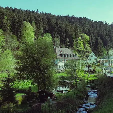 Gut Lauterbad Hotel-3