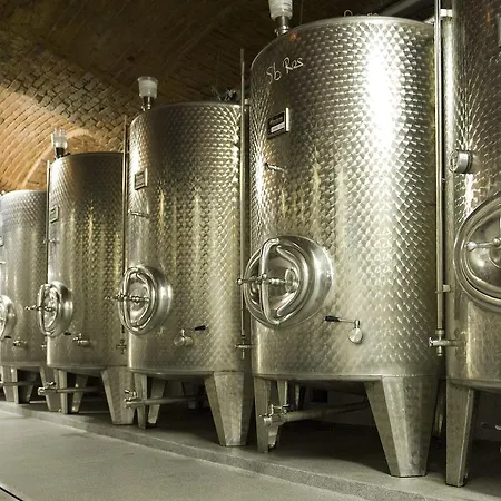 Weingut Dreisiebner Stammhaus-3
