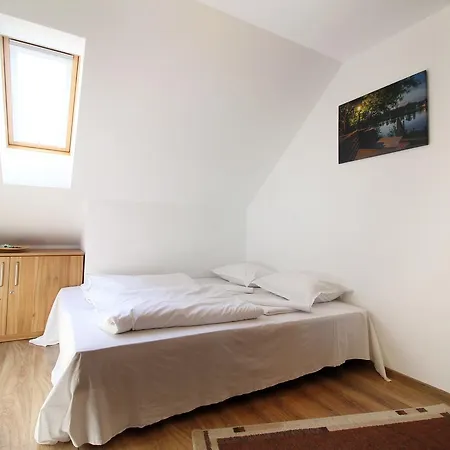 Casa Micu-2