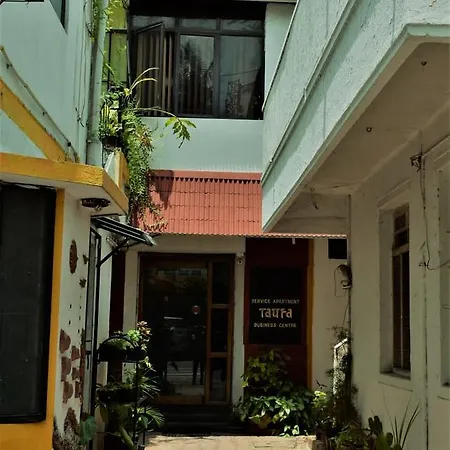 Taura Comfort-3