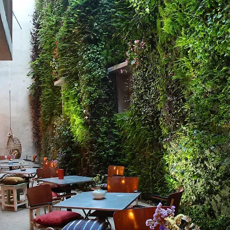 Kook Hotel Tarifa-2