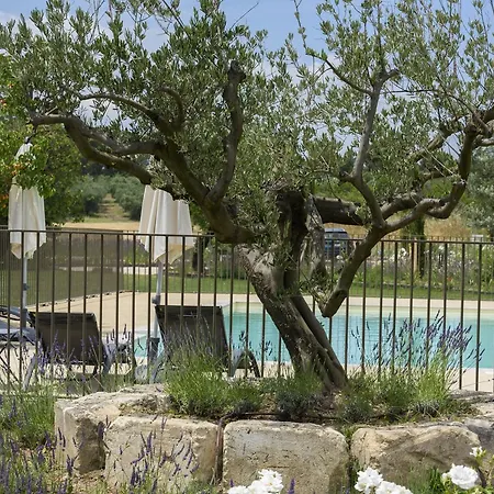 Domaine Du Mas Foucray-2