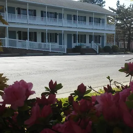 Sea Shell Motel-2